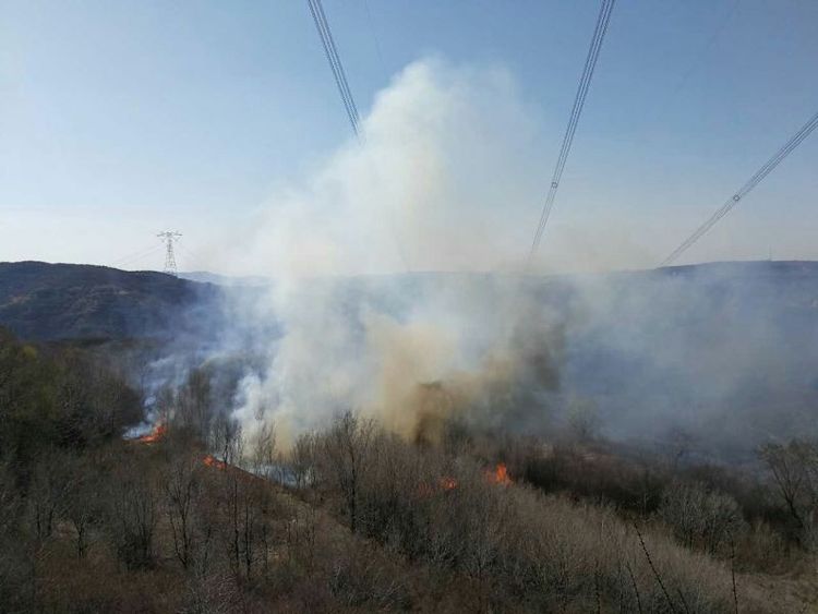 防山火在線監測裝置 輸電線路防山火的“秘密武器”